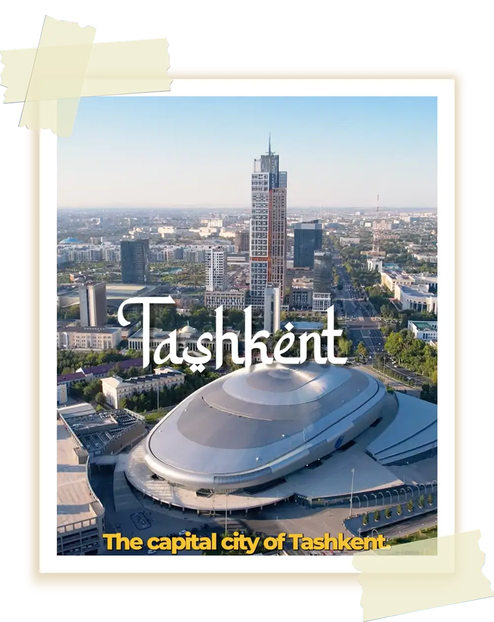 The Wanderlust Kids Scroll Down